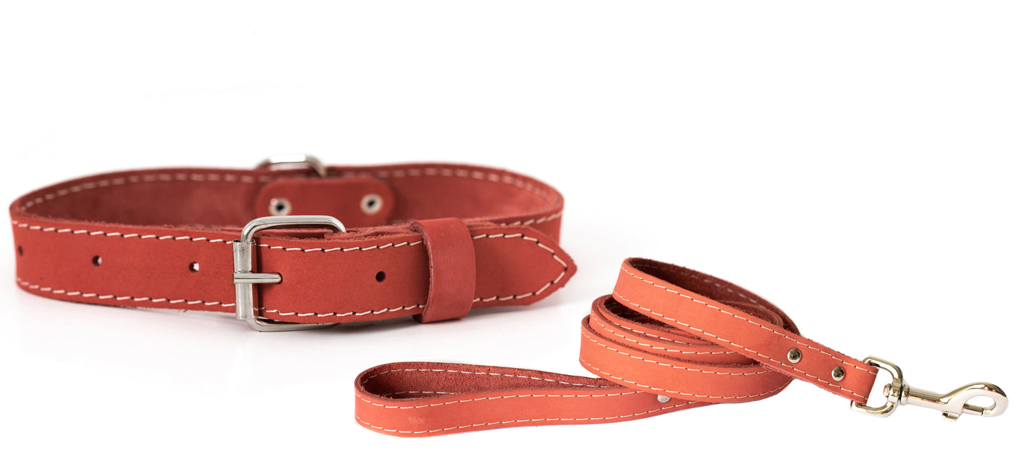 Pro Line Hunting Leather Collar and Leash Set