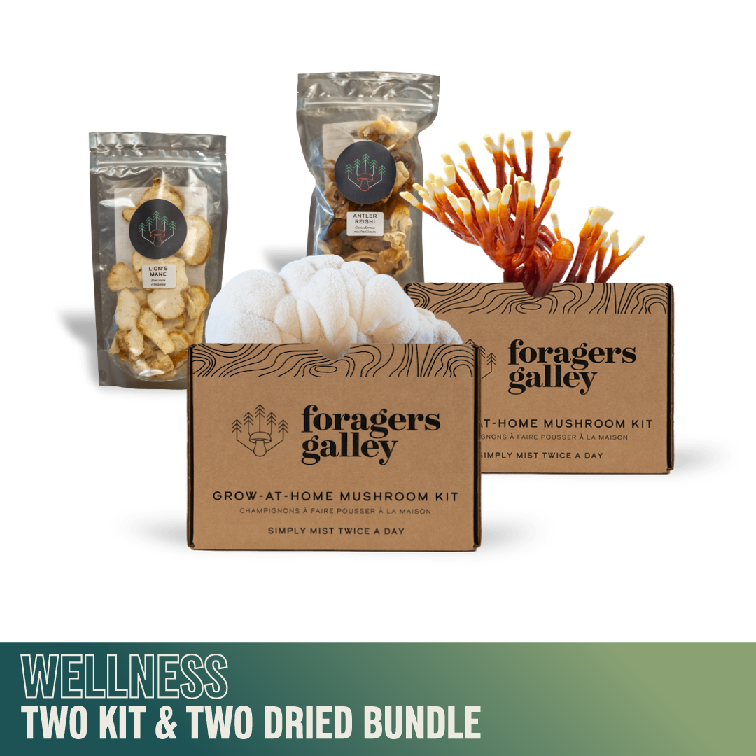Medicinal Bundle — Two Kits & Two Dried