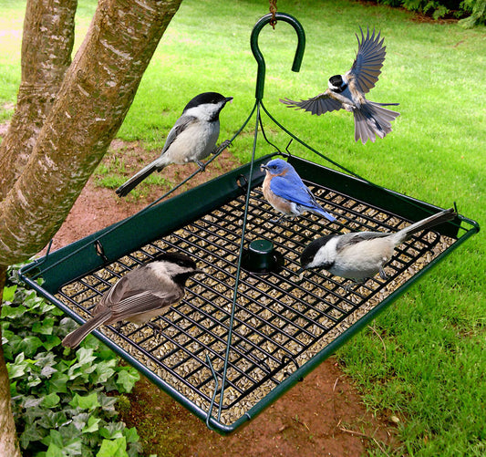 2-1 Platform Feeder