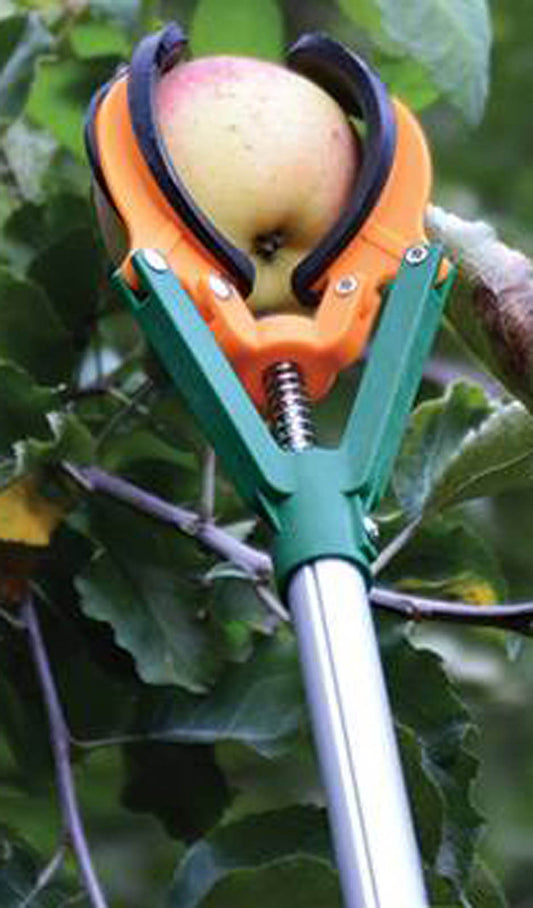 6-ft (182cm) Telescopic Long Reach Fruit Picker