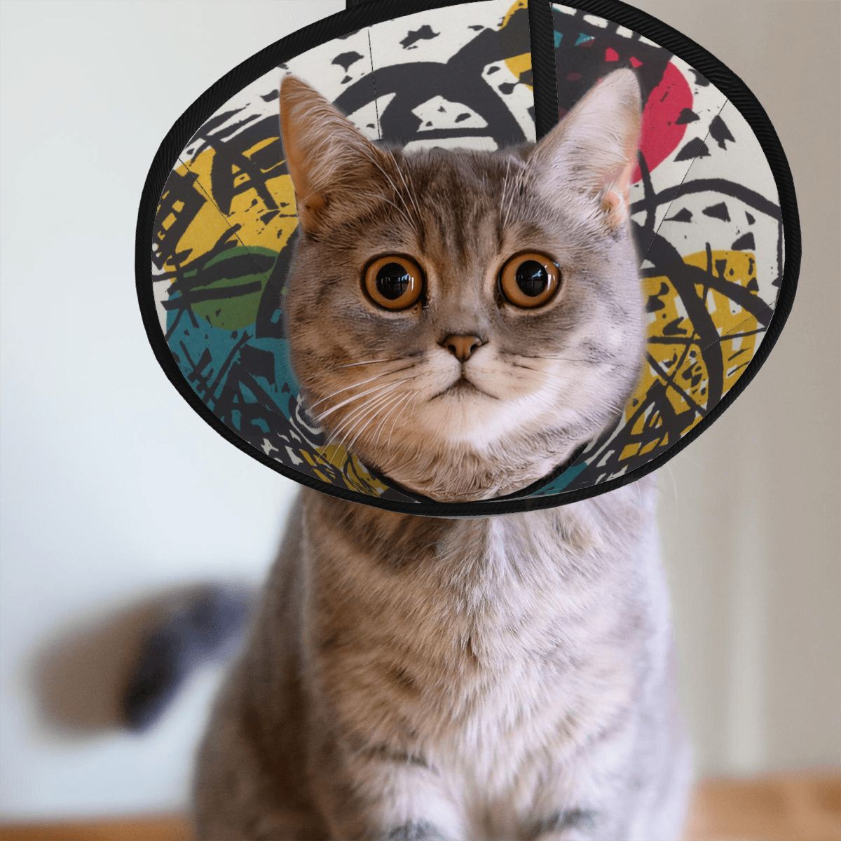 Sebastian & Clementine Small Worlds V Pet Elizabethan Collar