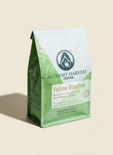 Yellow Bourbon - Washed