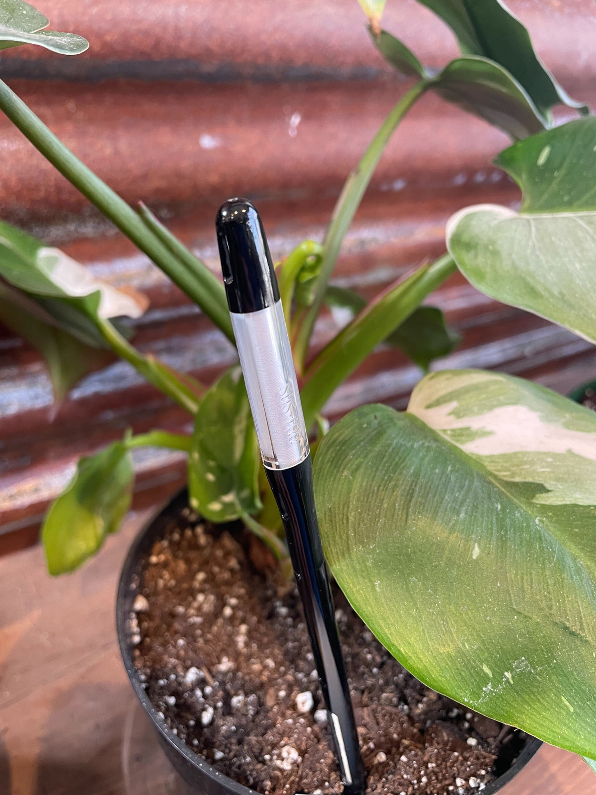 Aqua Meter - (black)