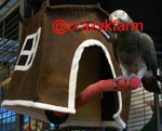 Avian Haven Hut for Pet Birds