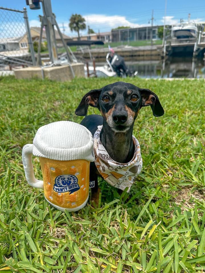 PAWTY Beer