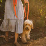 Body Glove Biothane Waterproof Leash