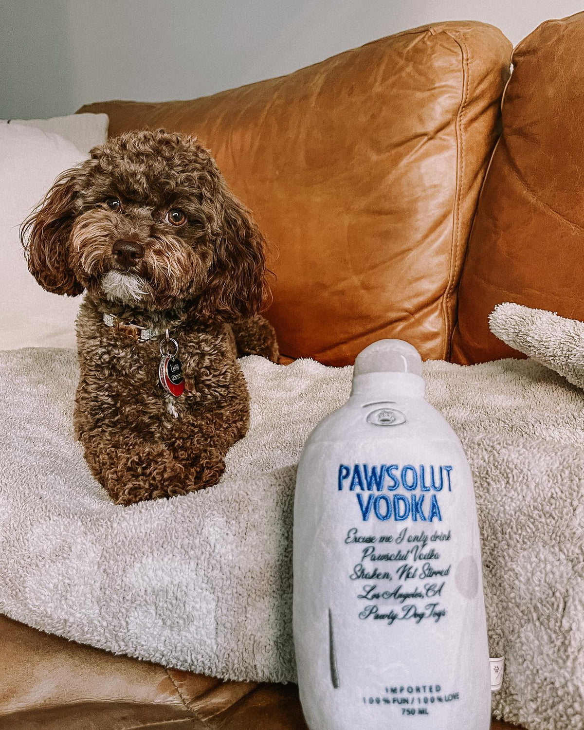 Pawsolut Vodka