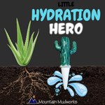 Cactus Watering Spike