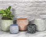 Caprise Planter , 4.5" x 4.25"