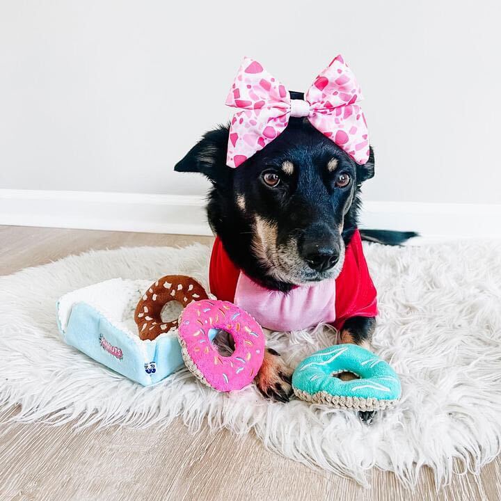 Donut Set
