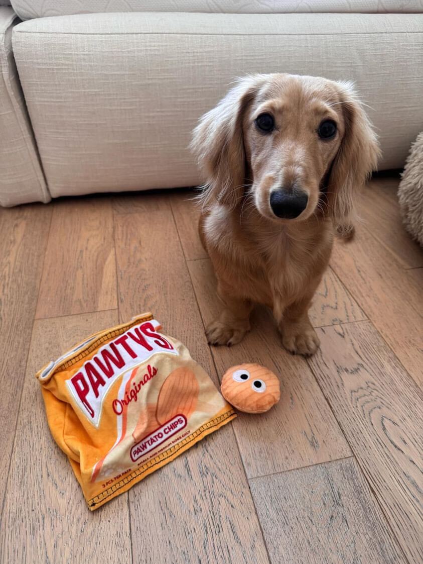 Pawtato Chips