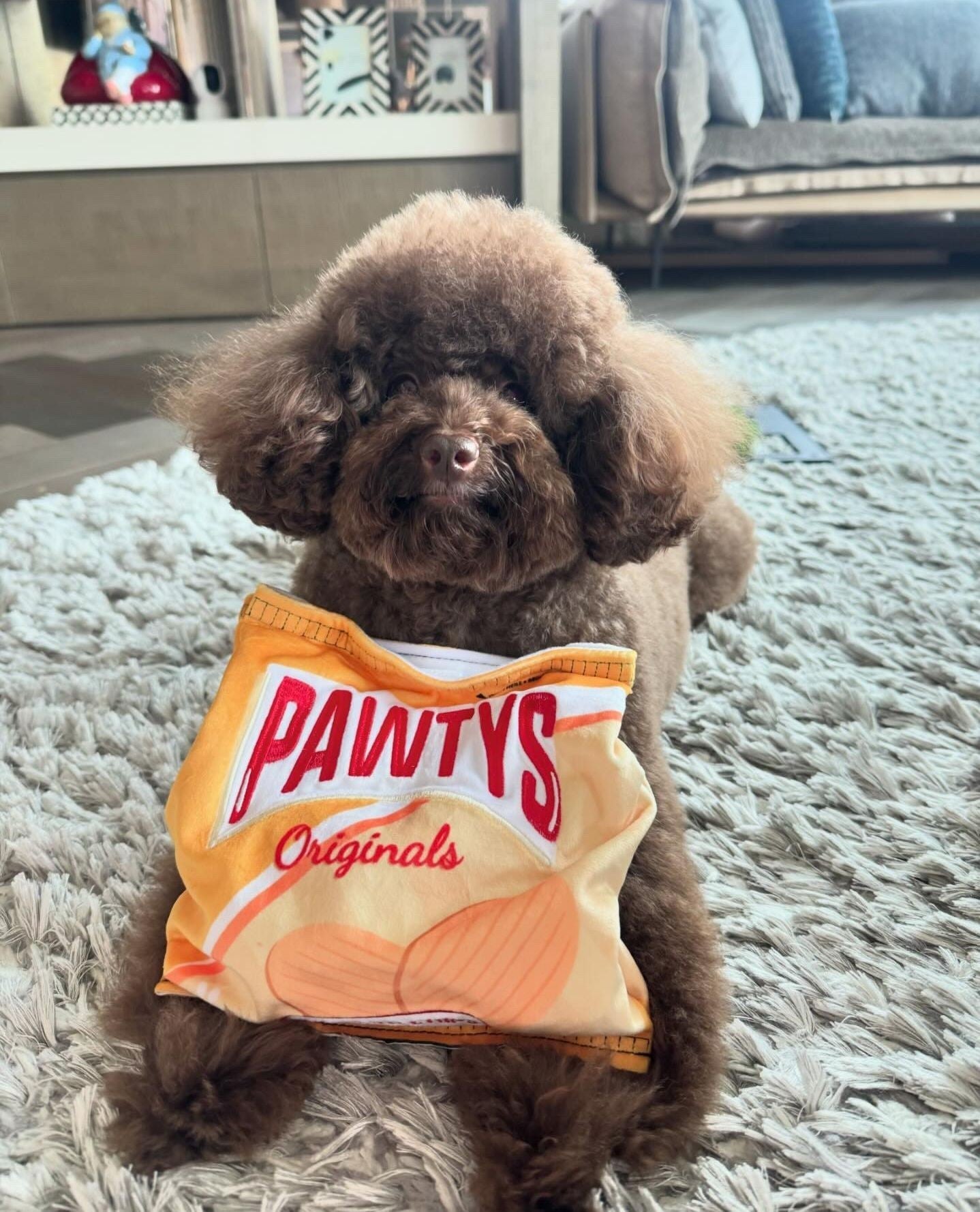 Pawtato Chips