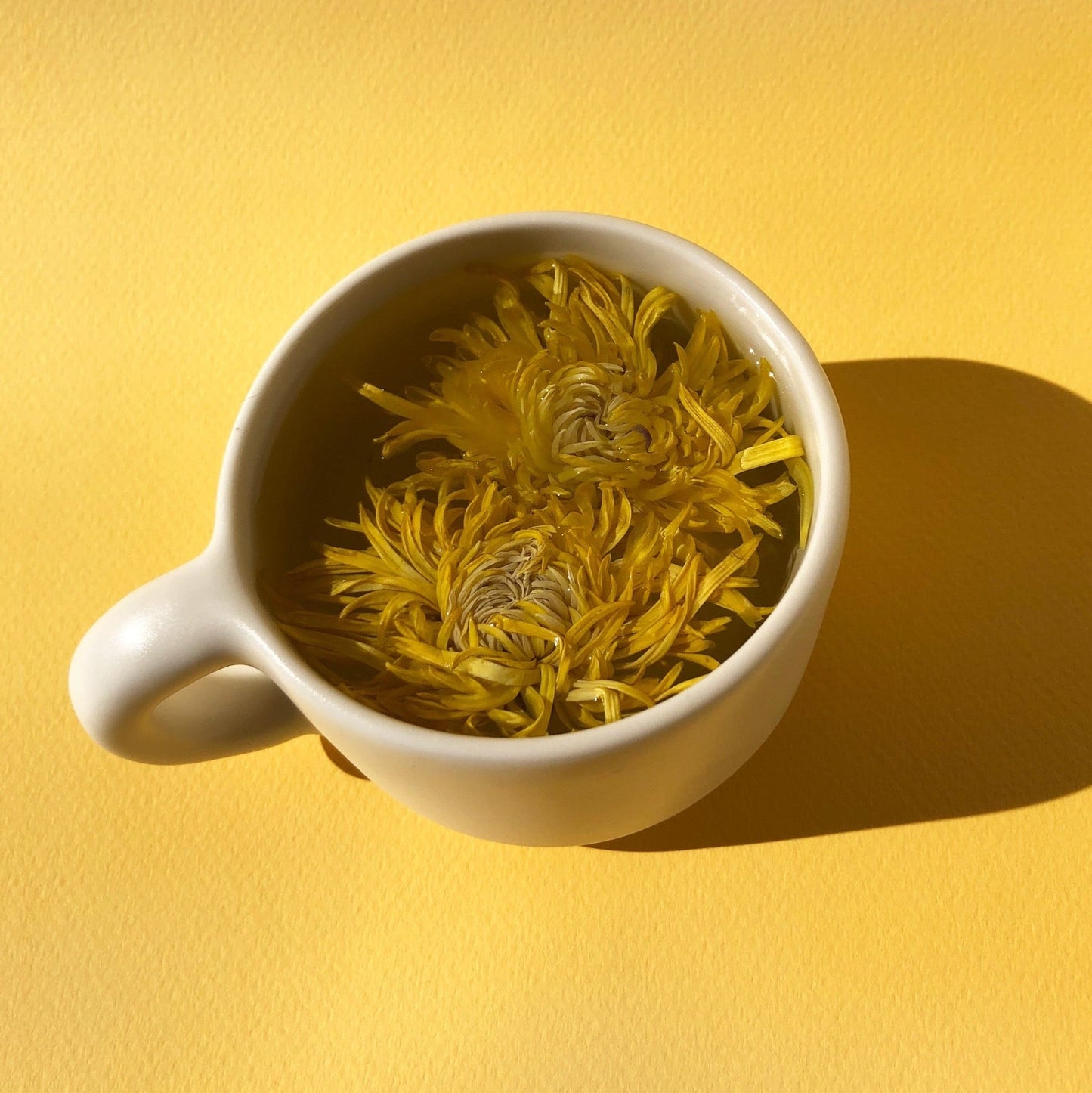 Floral Collection (variety box)