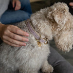Collar - Vegan Leather