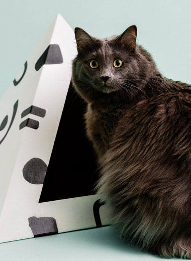 'Doodle' Cardboard Cat Pyramid