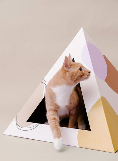 'Abstract' Cardboard Cat Pyramid