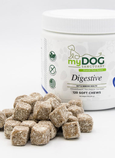 Gut Garden Digestive Support Chews
