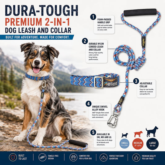 Dog Helios ® 'Dura-Tough' 2-in-1 Reflective Adjustable Fashion Dog Leash and Collar