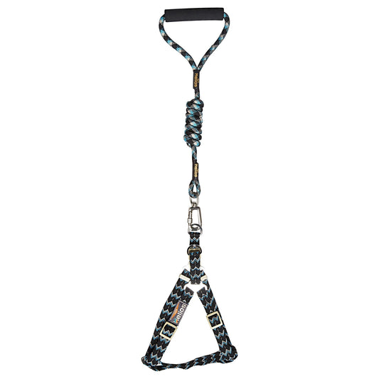 Dog Helios 'Surfside' Adjustable Dog Harness and Leash