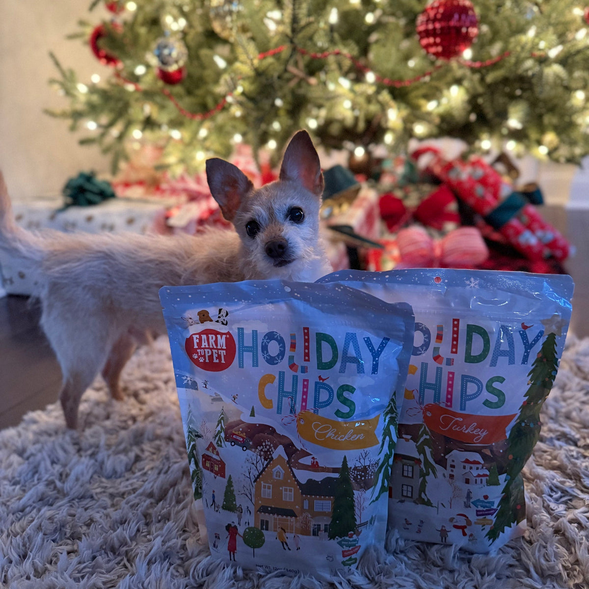 Holiday Chips Chicken & Turkey | Christmas Dog Treats 12oz