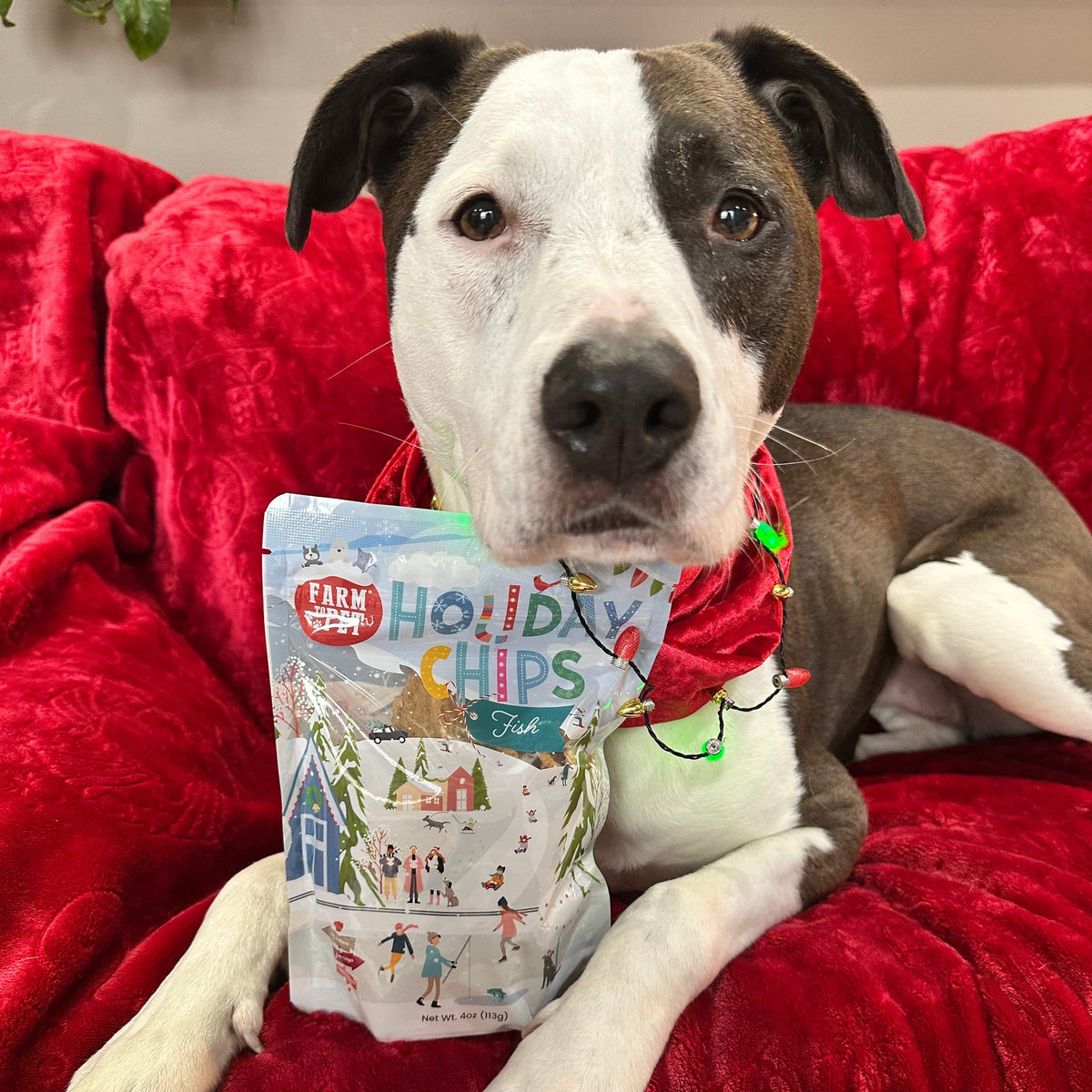 Holiday Chips Beef & Fish | Christmas Dog Treats 4oz