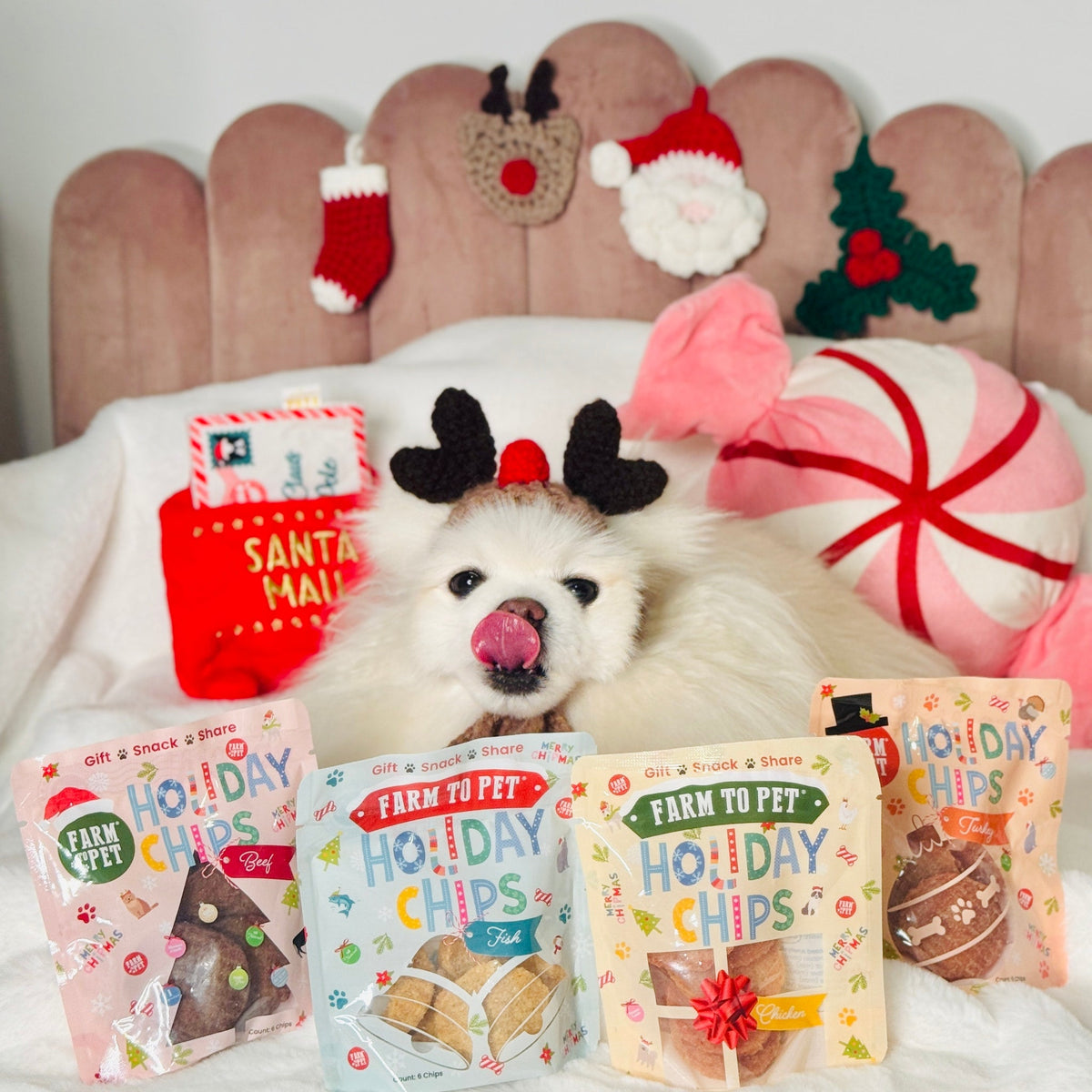 Elk The Halls Box | Antler Chew & Dog Treat Christmas Gift