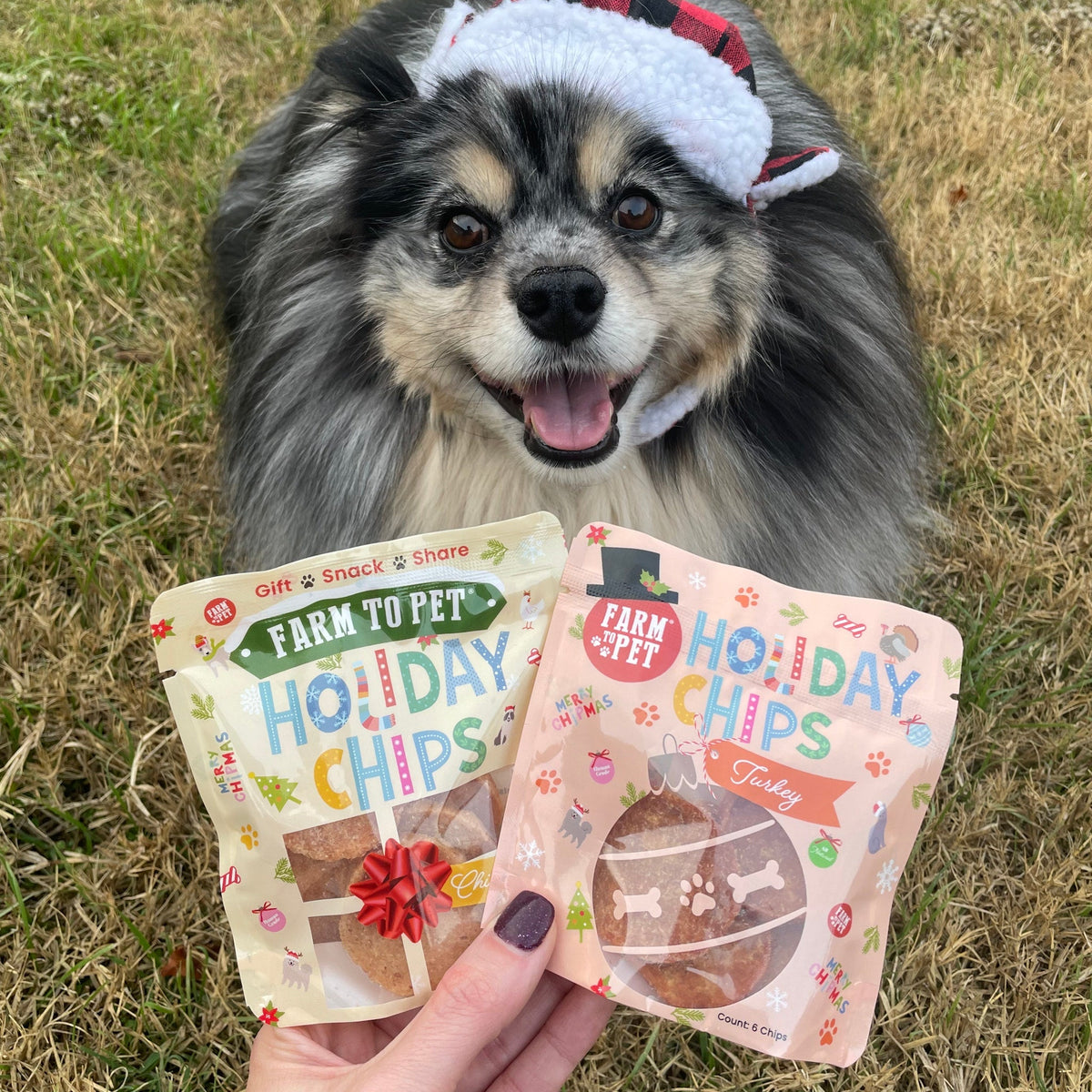 Santa Paws' Best Chipmas Box | Christmas Dog Treat Gift Box