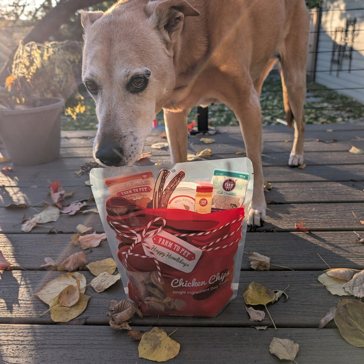 Elk The Halls Box | Antler Chew & Dog Treat Christmas Gift