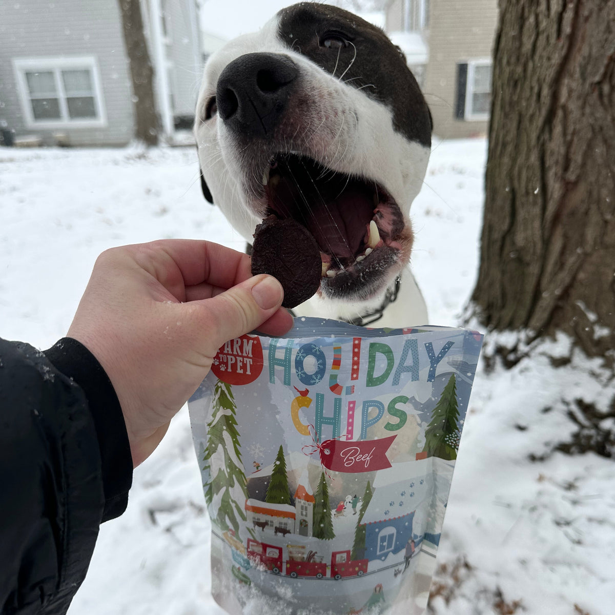 Holiday Chips Beef & Fish | Christmas Dog Treats 4oz