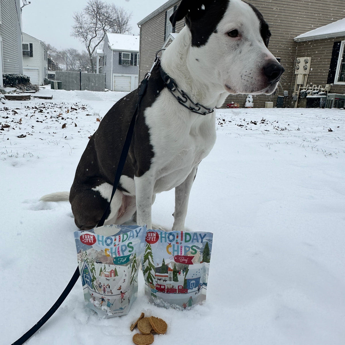 Holiday Chips Beef & Fish | Christmas Dog Treats 4oz