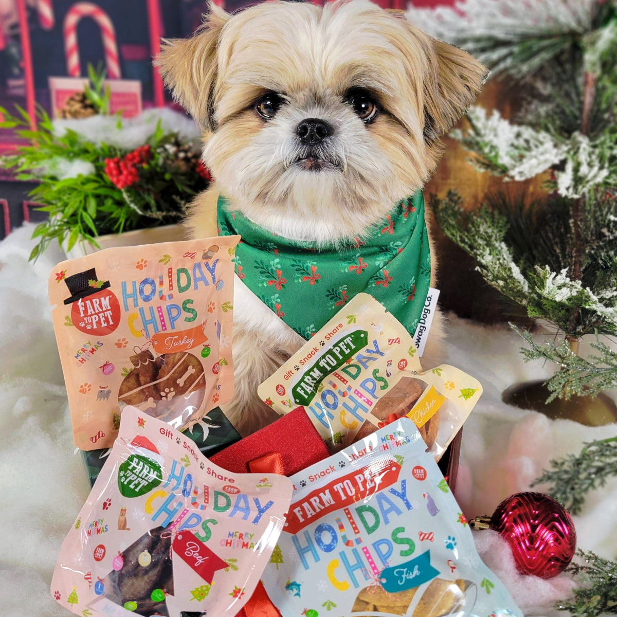 Elk The Halls Box | Antler Chew & Dog Treat Christmas Gift