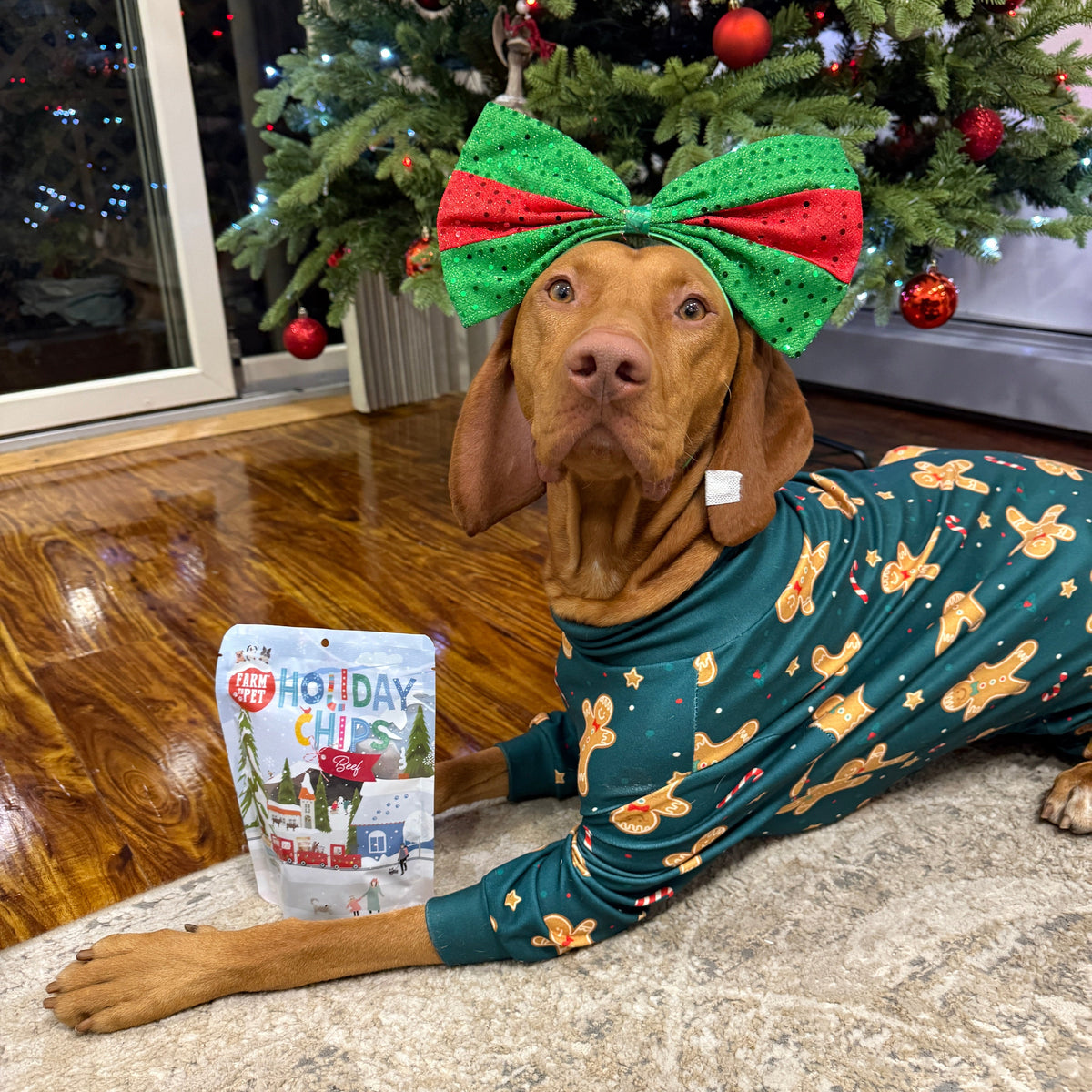 Holiday Chips Beef & Fish | Christmas Dog Treats 4oz
