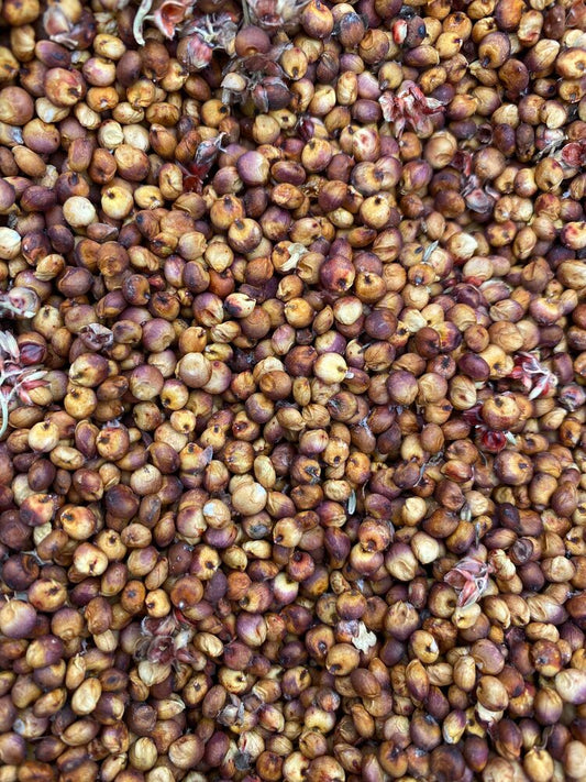 Coral Sorghum
