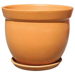 Flared Rim Planter with Attached Saucer, 6.25“x 5.5”
