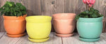 Flared Rim Planter with Attached Saucer, 6.25“x 5.5”