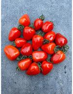 Gardeners Sweetheart Cherry Tomato