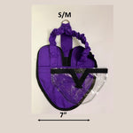 Hen Holster Bird Diaper/Harness (chicken diaper, duck diaper, pigeon diaper with Removable Vinyl Liner)