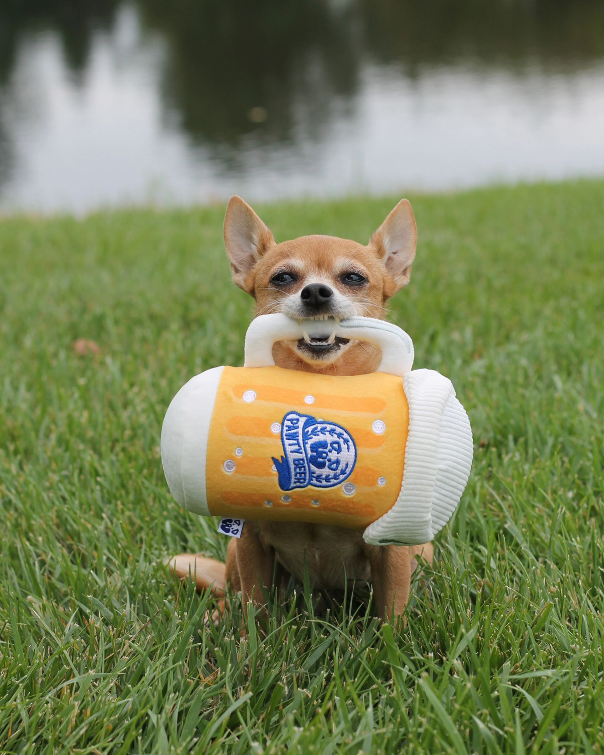 PAWTY Beer