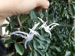 Handmade Pterodactyl Earrings: Stainless Steel Dinosaur Jewelry