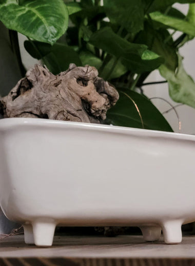 Medium Ceramic Bathtub Planter