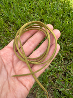 Mother Of Pearl Star Hat Band: Celestial Vegan Suede Cord
