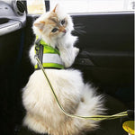 Kitty Holster Cat Harness (Made in USA Reflective Safety Harness)