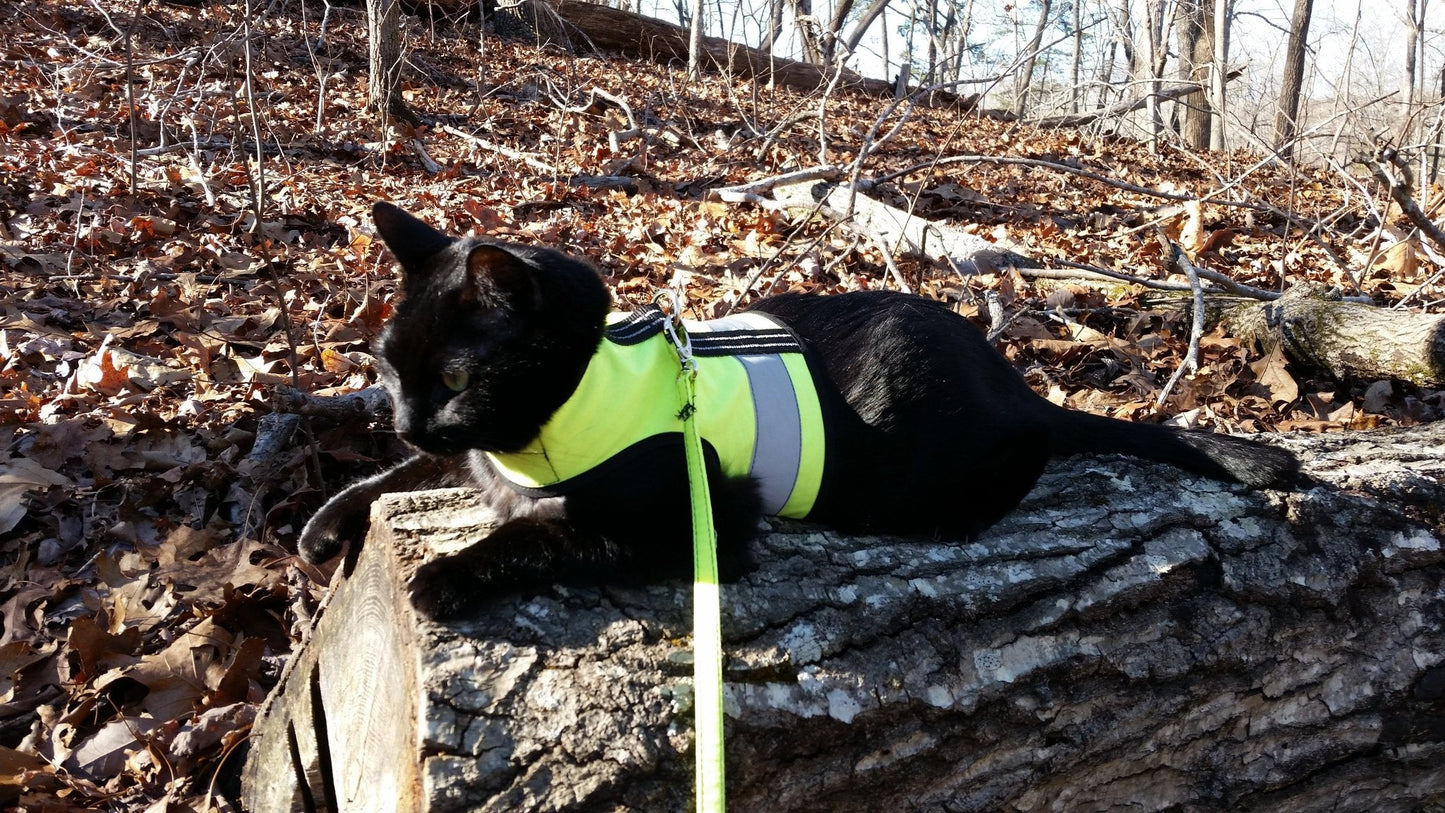 Kitty Holster Cat Harness (Made in USA Reflective Safety Harness)