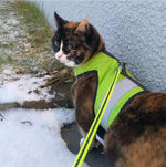 Kitty Holster Cat Harness (Made in USA Reflective Safety Harness)