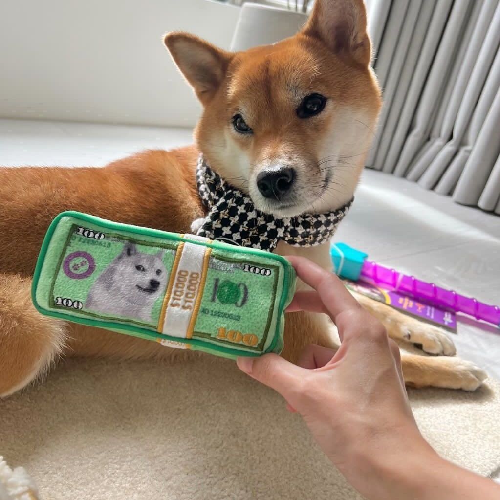 Cash Is King