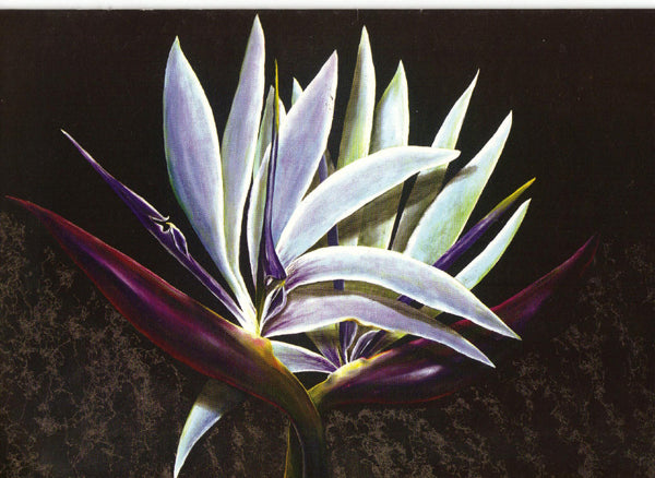 Deepa's Flower Collection Wall Hangings