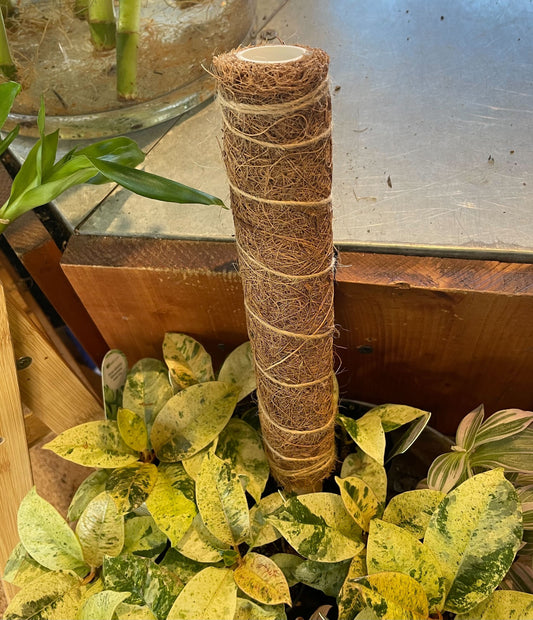 Moss Pole
