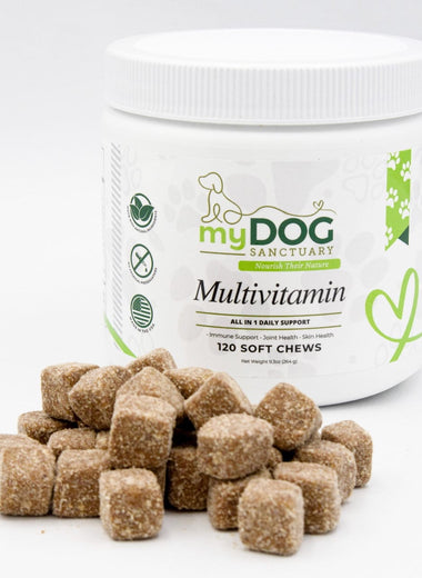 Sanctuary Strength Daily Multivitamin Chews
