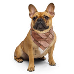 Sebastian & Clementine Barracks Settlement Pet Cotton Bandana
