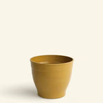 EcoForms Nova 5 with saucer- 1.5Qt/1.5 liters - 5 5/8" x 5 1/2"